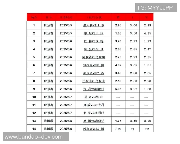 深入解析中国竞猜足球规则及其对玩家的影响与策略建议